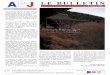 LE BULLETIN - afj-japon.org · dans l’année, illustrant la vie de l’A.F.J et étayés d’articles très divers, auxquels nous ... le domaine de l’accueil, des échanges au