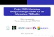 Projet CNRS-Mastodons ANalyse d'IMages fondée sur … · Informations TEXtuelles Bilan et prospectives Première année du projet ANIMITEX Paris–24janvier2014 1/18. Motivations