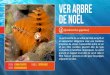 Ver arbre de Noël - Aquarium de la Guadeloupe Tree Worms (Spirobranchus giganteus) Spirobranchus giganteus is commonly found embedded in entire heads of massive corals, such as stony
