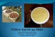 Connaissance du karité - ec.europa.eu · le secteur Karité, dans la collecte des noix, transformation en beurre ... substituant du beurre de cacao « cocoa butter équivalent- CBE