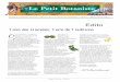 La science au service - solabia.comsolabia.com/solabia/content/NT0000520E.pdf · En Côte d’Ivoire, la fleur aurait des propriétés magiques contre les morsures de serpent. Dans