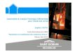 Ecole thématique du CNRS “Nucléation et cristallisation ...ustverre.fr/site/ustv/Oleron2013/Papin.pdf · Contrôler les propriétés de la phase vitreuse interstitielle 600 800
