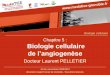 Chapitre 5 : Biologie cellulaire · Chapitre 5 : Biologie cellulaire de l’angiogenèse Docteur Laurent PELLETIER Année universitaire 2009/2010 Université Joseph Fourier de Grenoble