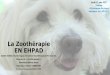 La Zoothérapie EN EHPAD - cpias-auvergnerhonealpes.fr · Démonstration de ce que peut faire un chien dans une résidence. Le chien a fait sensation! 57 résidents sur 58 sont descendus
