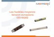 Les fusibles moyenne tension européens CEI 60282ep-fr.mersen.com/fileadmin/catalog/Multimedia-Premium/TM_107_High... · Protection des transformateurs de puissance 3.3 5/5.5 6/6.6