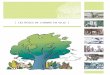 Les rôles de l'arbre en ville - Ileauileau.ca/sites/default/files/upload/roles_arbre_en_ville_cerfo.pdf · Le rôle de l’arbre en ville | section écologique| 5 ·· Ils filtrent