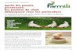 C A Après les poules pondeuses, les poulets de chair ... · consommation de volaille en France (1), ... leur bonne croissance, Farmili proposera un kit poussin complet ... ils seront