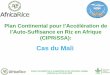 Cas du Mali - africarice.org · Stratégie nationale de développement de la riziculture pour ... Sénégal 8. Sierra Leone 9. Tanzanie 10. Ouganda ... Mesures politiques pour la