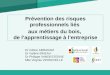 [PPT]Présentation PowerPoint - Santé publique France - …inpes.santepubliquefrance.fr/jp/cr/pps/2010/session7/... · Web viewPrévention des risques professionnels liés aux métiers