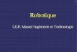 Robotique - eavr.u-strasbg.freavr.u-strasbg.fr/~bernard/education/master_it/slides1_master_it.pdf · Un robot est un système mécanique poly-articulé mû par des actionneurs et