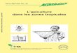 Agrodok-32-L'apiculture dans les zones tropicales · AGRODOK peuvent être commandés chez AGROMISA ou au CTA. 1. L’élevage des porcs dans les zones tropicales P, F, A ... 33