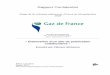 Rapport Confidentielelise.lemaire.free.fr/RapportEliseLemaireV5.pdf · Rapport Confidentiel Stage de fin d ... L’histoire de l’entreprise Gaz de France est ... Gaz de France passe