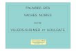VILLERS-SUR-MER ET HOULGATE - hybodus.free.frhybodus.free.fr/villers/pdf/presentation_vaches_noires.pdf · Une association de Paléontologie et Géologie est située à Villers-sur-Mer,