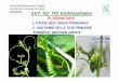 TP1 Embryophytes S2 - fsr.um5.ac.mafsr.um5.ac.ma/cours/biologie/hikmat/TP1 Embryophytes S2.pdf · disposition, de l’importance et des rapports entre les tissus d’un ... • Sa
