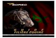 « Être heureux à cheval, c’est Être entre ciel et ...sorec.ma/media/pdfs/Guide_de_la_Filiere_Equine_FR_SOREC_2015_d… · ... en passant par la Tbourida, ... les sports et loisirs