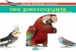 mon compagnie Manon Tremblay, les perroquets · cette caractéristique anatomique chez les oiseaux, laquelle s’est rafﬁ née avec le temps. ... Tout comme les reptiles, l’oiseau
