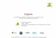 Capsis - GIP ECOFOR | · Une plateforme logicielle générique pour la simulation de la croissance des peuplements forestiers Francois de Coligny ... Philippe Dreyfus - INRA-URFM