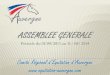 ASSEMBLEE GENERALE - equitation-auvergne.com Auvergne... · Stage avec Jean-Paul ... (- de 2000€ / de 2100 à 4000€ / jusqu’à 6000€) Présentés : - aux 3 allures - sur une