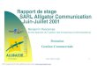 Rapport de stage - bendescamps.free.frbendescamps.free.fr/cours_pdf/RS_03.pdf · Rapport de stage SARL Alligator Communication ... n Analyse financière uBilan uRatios uSoldes Intermé