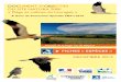 DOCUMENT D’OBJECTIFS DU SITE NATURA 2000 « …€¦ · Site Natura 2000 ZPS « Piège et collines du Lauragais » - ZPS FR 9112010-Fiches « espèces » ... uniformément marron