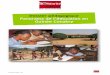 Dossier pédagogique Panorama de l’éducation en …usep47.com/IMG/pdf/dossier-education-guinee-def.pdf · parité à l’école. > En savoir plus sur les Objectifs du Millénaire