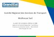 Comité Régional des Services de Transport Mulhouse … · notamment concernant le 1er omnibus du matin dans les deux sens (suppression le samedi et ... - le départ du train de