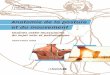 Anatomie de la posture et du mouvement - decitre.fr · Anatomie de la posture et du mouvement COLLECTION POSTURE, ÉQUILIBRE & MOUVEMENT ... (STAPS), kinésithérapie, ostéopathie,
