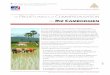 L PROJET DAPPUI A LA COMMERCIALISATION … d’Appui à la Commercialisation du Riz Cambodgien – Note de Présentation Page 6 Opérations pilotes d’Agriculture Contractuelle entre