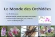 Le Monde des Orchidées - Orchidée Armorique ...€¦ · Le petit Larousse des orchidées Françoise & Philippe Lecoufle, Colette & Dominique Barthelemy, Gérard Schmidt, éditions