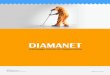 Diamanet - c8-services.com · - Evaluer l’ensemble de ses collaborateurs. B) Directeur Administratif et Financier Il pilote et participe aux missions de planification, de gestion