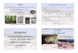CM1sol Poszwa L2 3geo2014 - … · 1! Pédologie Initiation à la reconnaissance des roches et des grands types de sols Anne Poszwa (anne.poszwa@univ-lorraine.fr) Enseignements UE