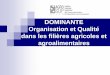 OPTION Organisation et Qualité dans les filières … · Evaluation de la stratégie marketing d'un insecticide "Delegate" sur le ... état des lieux et perspectives de développement