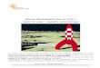MODULE PÉDAGOGIQUE POUR LE CYCLE 3 OBJECTIF LUNE ...lamap-nogent.rep.ac-amiens.fr/wp-content/uploads/... · Le monde de Tintin offre mille occasions d'aborder des questions scientifiques
