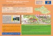 Sainte-Foy de Conques PDESI (Conques) Plan Sites … · PDESI Plan Départemental des Espaces, Sites et Itinéraires Sainte-Foy de Conques (Conques) PR n° 11 du topo-guide « L’Aveyron