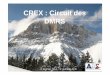 CREX : Circuit des DMRS - sf2s-sterilisation.fr en... · Qu’est ce qu’un CREX ? ... Exemple de fonctionnement CHUG • 1 jeudi / mois – 1h • 13 participants ou leur suppléant: