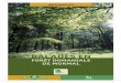 DE MORMAL FORÊT DOMANIALE BALADES EN - s … · est la région la moins boisée de France (la moyenne nationale est de 29 %). Après celle de Compiègne (plus de 14 000 ha), la fo-