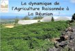 La dynamique de lâ€™Agriculture Raisonn©e   La R©union .Le Petit Larousse 2005 illustr©, 100