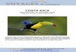 COSTA RICA - Chemins du Sud · Randonnée sur les sentiers qui entourent la communauté de Providencia, et qui se trouvent au coeur ... biodiversités du pays. La population d'oiseaux