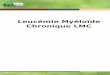 Leucémie Myéloïde Chronique LMC - Serveur UNT-ORIunt-ori2.crihan.fr/unspf/2010_Grenoble_Lepelley_LMC/res/LMC_papier.… · La prise se fait à jeun, ... 1 inhibiteur de la pompe