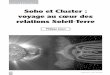Soho et Cluster : voyage au cœur des relations Soleil …ddata.over-blog.com/xxxyyy/0/31/89/29/Fusion-91/F91.3.pdf · sur les magnétosphères des planètes (champs magnétiques