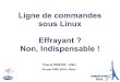 Ligne de commandes sous Linux - Pascal MARTIN · Ligne de commandes sous Linux Effrayant ? Non, Indispensable ! Pascal MARTIN – SQLI Forum PHP 2010, Paris ... Depuis une machine