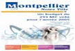 JOURNAL D’INFORMATION MUNICIPALE Un budget … · (hors Paris et Mulhouse), Montpellier fait figure de bon élève de la classe. En effet, ... les déplacements à la Mairie et