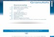 03 GRANULATS p29 54 controlab 2012 - matech-tn.com · en vue de la certification pour le marquage CE. 30 Tél +33(0)1 49 48 94 50 - Fax +33(0)1 40 11 12 46 ... Fax +33(0)1 40 11 12
