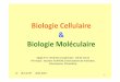 Biologie’Cellulaire’’ &’’ Biologie’Moléculaire’biochimie.univ-tours.fr/cours3bcm_2014.pdf · Biologie’Moléculaire ... Cours 1+2+3+4 BCM brouillon au 14-09-14.ppt
