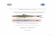 2012 10 29 CSRP Pelagiques-Economie Final - spcsrp.org · assurent l'utilisation rationnelle et durable des stocks de poissons petits pélagiques dans des ... Étant donné le caractère