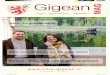 Printemps 2017 - numéro 21 - ville-gigean.fr Gigean/06 Gigean Mag... · parvis de l’église a perdu son escalier au profit d’une dalle en facilitant l’accès, l’ancienne