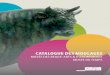 catalogue des moulages - musée des beaux-arts et d'archéologie de ...mbaa.besancon.fr/wp-content/uploads/2013/12/catalogueV7.pdf · à partir de l’original. haque face de la sculpture