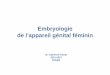 embryologie systeme génital féminin 2012-2013€¦ · – Prolifération de l’épithélium coelomique à face ventrale du ... - Apparition au niveau du MEE à la fin de la 