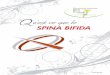 Mise en page 1 · 2016-09-01 · e ce qe le SPINA BIFIDA Q Août 2015 spina bifida_Mise en page 1 25/10/2012 16:00 Page 2