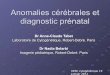 Anomalies cérébrales et diagnostic prénatal - ..:: … · 2016-10-05 · Agénésie Corps Calleux isol ... 28/29 SA : conforter un dg en vue IMG 32 SA : bilan (gyration) Remerciements